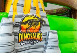 Eye-catching bouncy castle with a dinosaur theme and challenging obstacles for children.