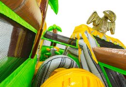 Bouncy castle with challenging obstacles and a cool dinosaur mouth as the entrance.