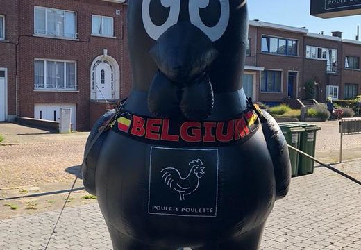 Buy large inflatable Poule and Poulette black chicken mascots. Get your blow up advertising online now at JB Inflatables UK