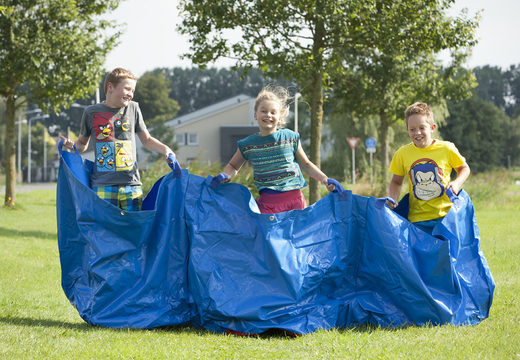 Buy blue party bags for both old and young. Get your inflatable items now online at JB Inflatables America