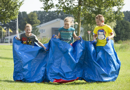 Buy blue party bags for both old and young. Order inflatable items online at JB Inflatables America