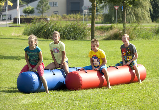 Bouncy tube Blue and red for both old and young. Buy inflatable items online at JB Inflatables America