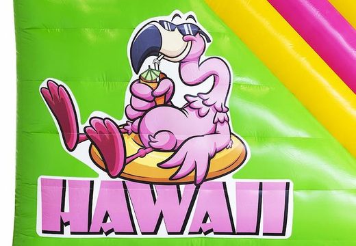 Kids Hawaii Theme Inflatable Compact Slide Bouncer For Sale