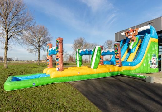 Order Inflatable Hawaii Drop and Slide Water Slide for Kids.  Buy waterslides now online at JB Inflatables America