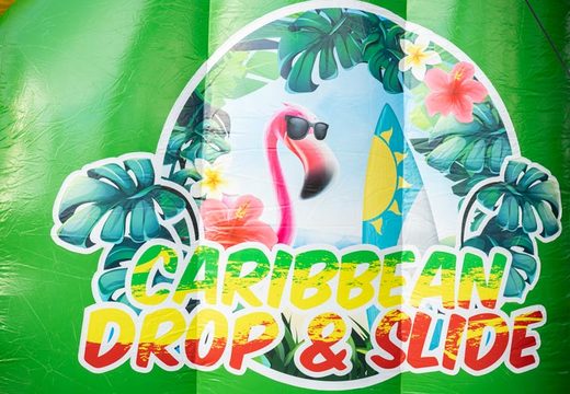 Order Drop and Slide in theme Caribbean for kids. Buy waterslides now online at JB Inflatables America