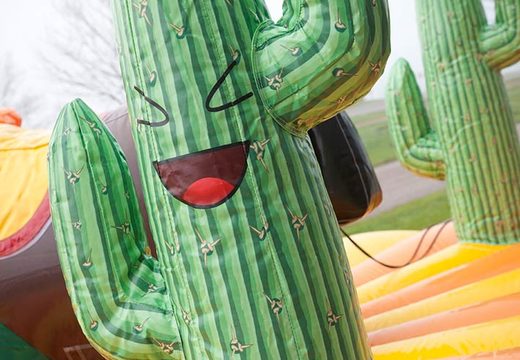 Cactus detail on inflatable pull rodeo